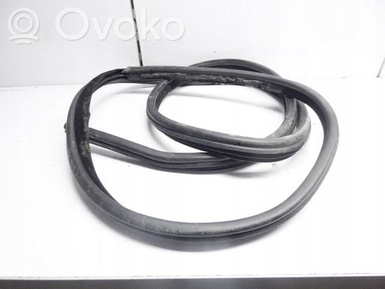 BMW 3 E90 E91 Rubber seal front coupe door 7060287