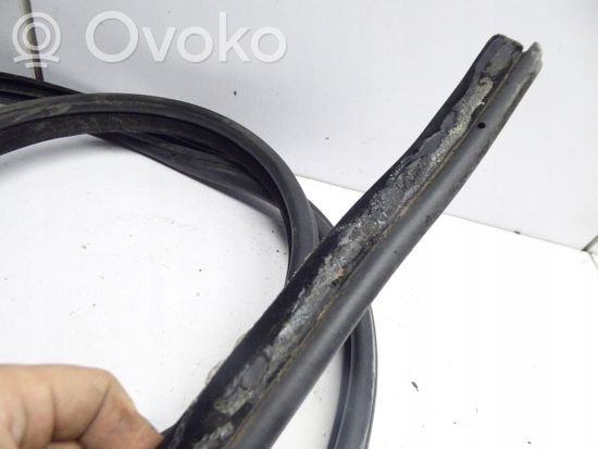 BMW 3 E90 E91 Rubber seal front coupe door 7060287