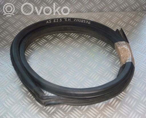 BMW X5 E53 Front door rubber seal 7008976