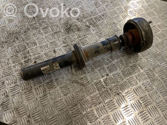 BMW X5 E70 Rear shock absorber/damper 6780486