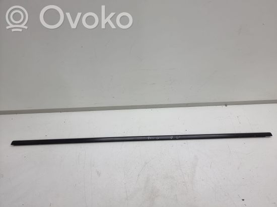 BMW 5 E60 E61 Rear door trim (molding)