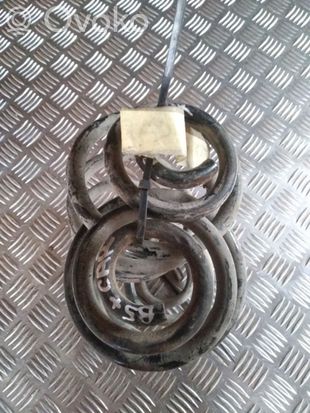 Volkswagen PASSAT B5.5 Rear coil spring