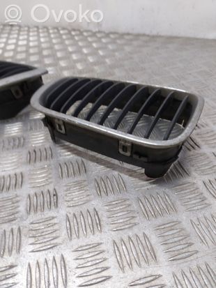 BMW 3 E46 Front bumper upper radiator grill