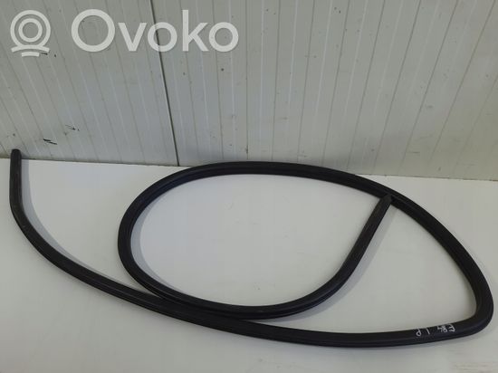 BMW X1 E84 Front door rubber seal