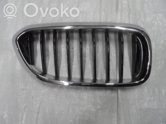 BMW 5 G30 G31 Front grill
