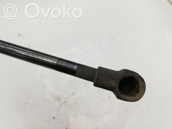 BMW 1 E81 E87 Tailgate/trunk strut/damper 51247060622 7060622