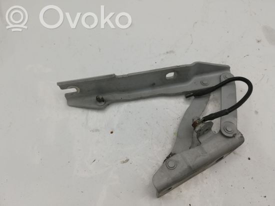 BMW 5 E60 E61 Engine bonnet/hood hinges 41617008728 7008728