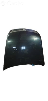 Volkswagen Phaeton Engine bonnet/hood NOCODE
