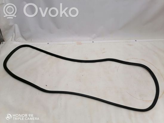 BMW X5 E70 Trunk rubber seal (body)