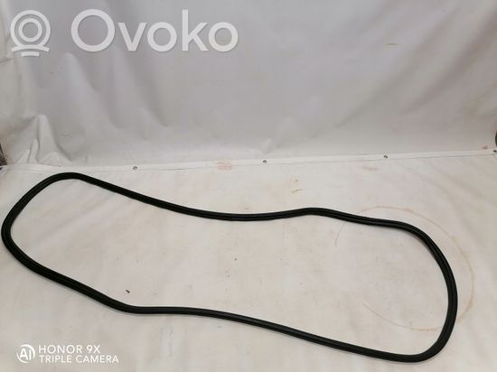 BMW X5 E70 Trunk rubber seal (body)