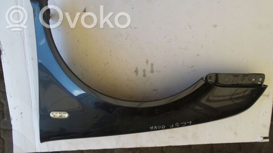 Volkswagen Bora Fender