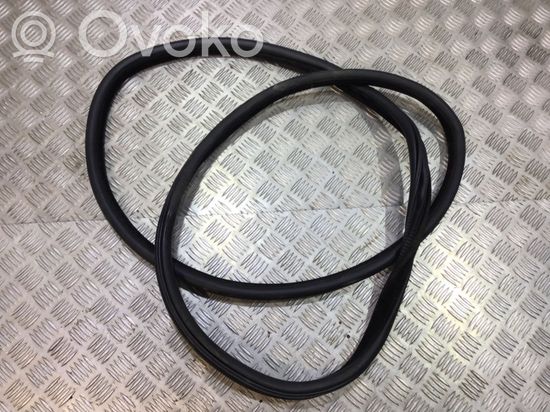 BMW X6 F16 Rubber seal rear door 7317822