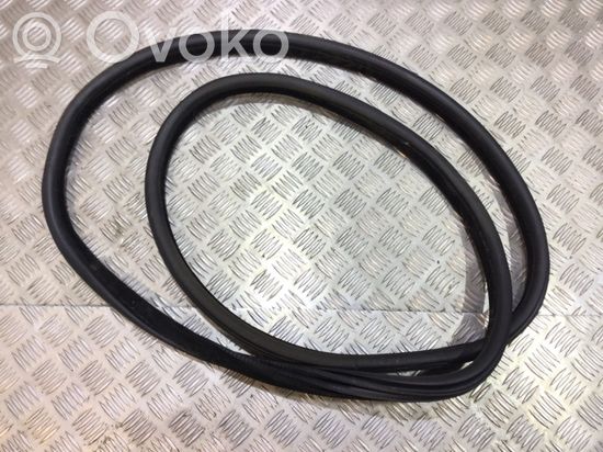 BMW X6 F16 Rubber seal rear door 7317822