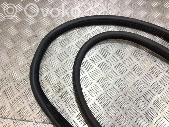 BMW X6 F16 Rubber seal rear door 7317822