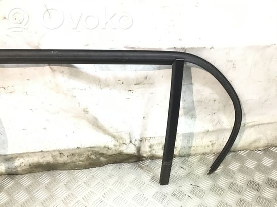 BMW 1 E81 E87 Rubber seal rear door window/glass 4428457 7066613