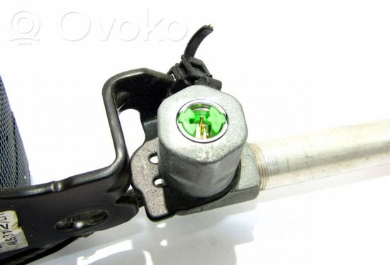 Volkswagen Phaeton Front seatbelt 3D1858665F
