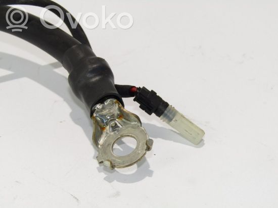 Mercedes-Benz E C207 W207 Negative earth cable (battery) 13853607