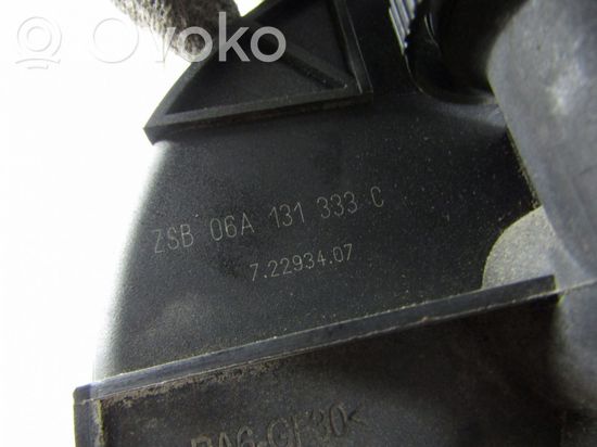 Volkswagen Golf V Secondary air pump 06A131333C