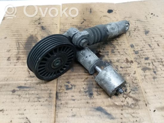 Audi A4 S4 B6 8E 8H Generator/alternator belt tensioner