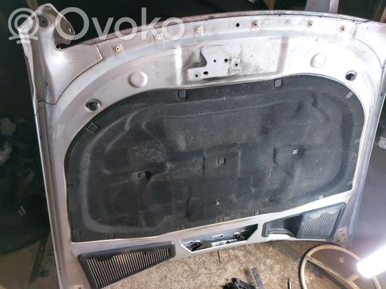 Volkswagen Phaeton Engine bonnet/hood