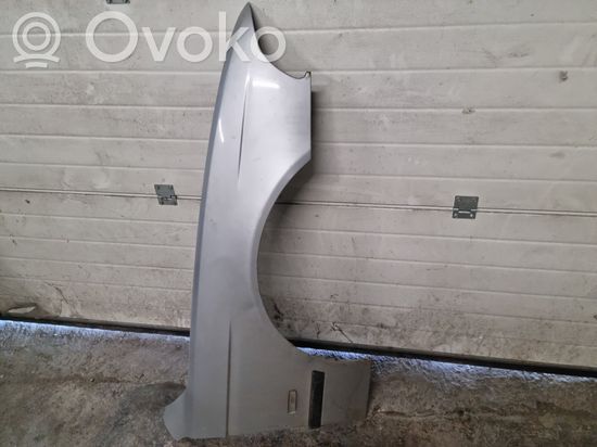 BMW 5 E39 Fender