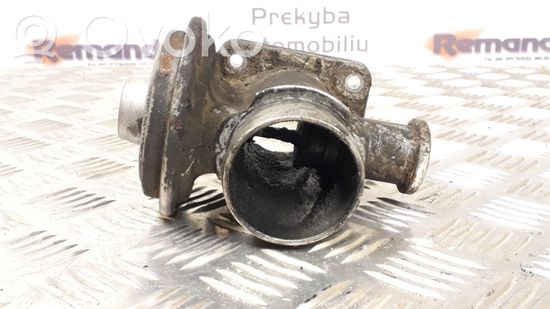 BMW 5 E39 EGR valve