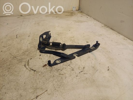 Audi A6 S6 C6 4F Tailgate/trunk/boot hinge