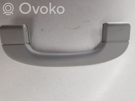 BMW X1 E84 Front interior roof grab handle 9143516