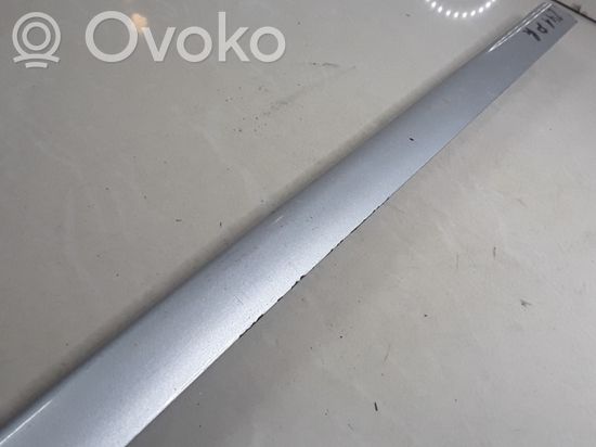 BMW 3 E46 Front door trim (molding) 8208450