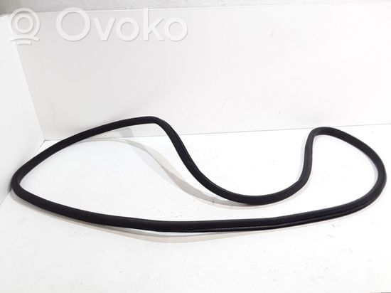 BMW 7 E65 E66 Front door rubber seal
