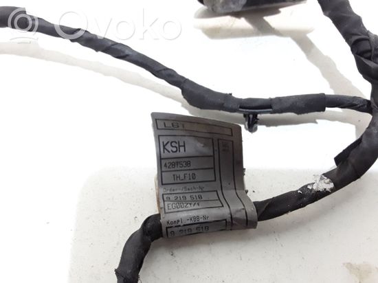 BMW 5 F10 F11 Rear door wiring loom 9219518