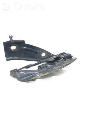 Volkswagen Phaeton Engine bonnet/hood hinges