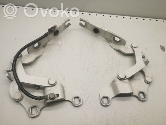 BMW 1 E81 E87 Engine bonnet/hood hinges 7060559 7060560