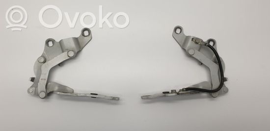 BMW 1 E81 E87 Engine bonnet/hood hinges 7060560 7060559