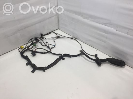 BMW 6 E63 E64 Front door wiring loom 6928434