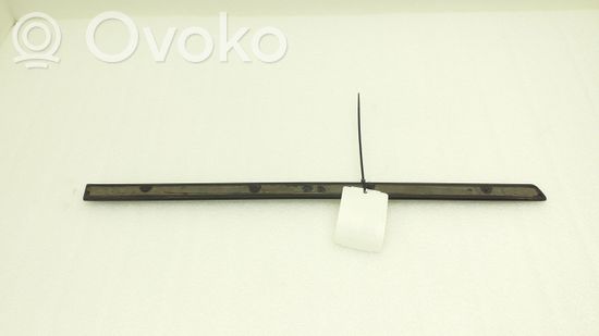 BMW X5 E70 Rear door trim (molding)