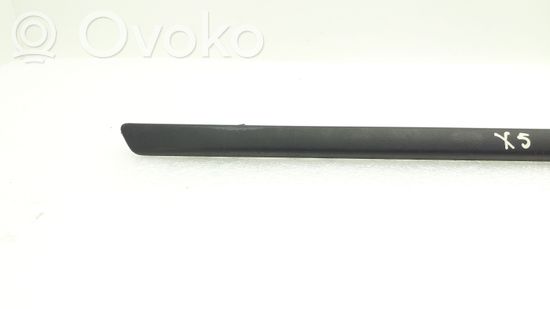 BMW X5 E70 Rear door trim (molding)