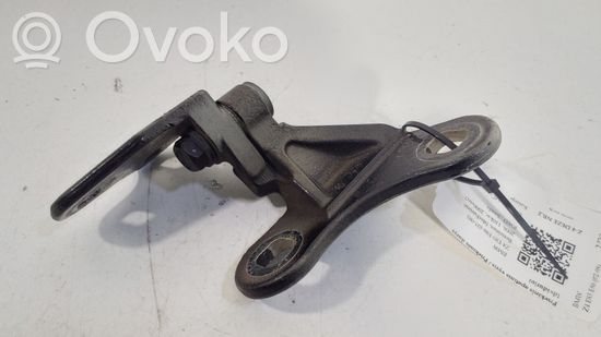 BMW Z4 E85 E86 Front door lower hinge 7051747