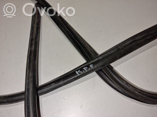 BMW 1 E81 E87 Front door rubber seal 7066617