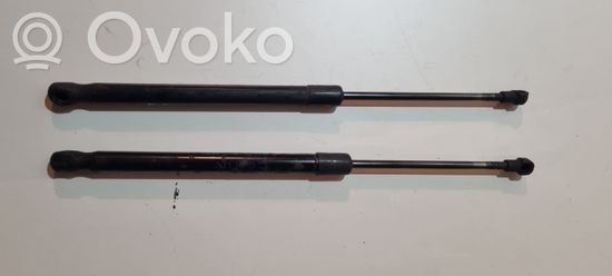 BMW 1 E81 E87 Tailgate/trunk strut/damper 51247060622