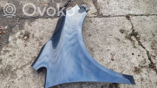 Volkswagen Golf Plus Fender