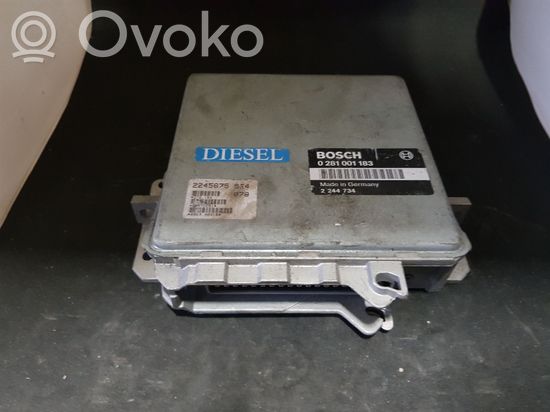 BMW 5 E34 Engine control unit/module 0281001183