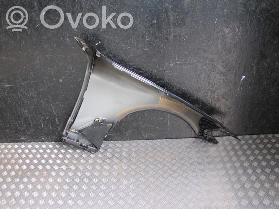 BMW 5 G30 G31 Fender 2C/024