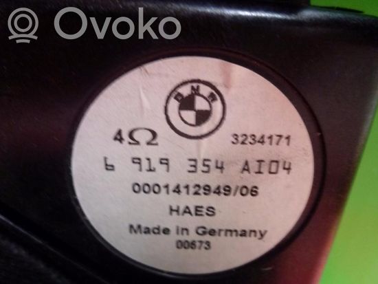 BMW 5 E60 E61 Subwoofer speaker 6919354, 65136919354 R310