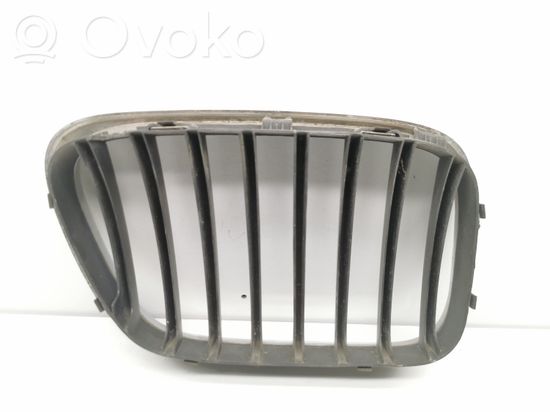 BMW X5 E53 Front grill 51138247673