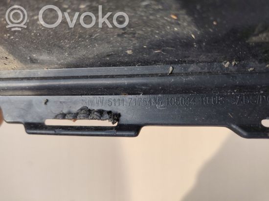 BMW X5 E70 Front bumper lower grill