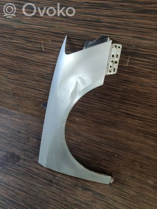 Volkswagen PASSAT B6 Fender