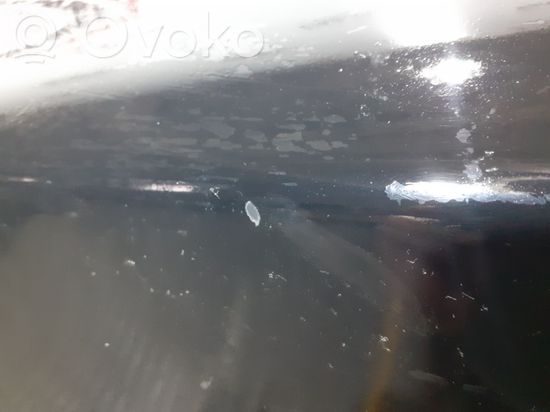 BMW 1 E81 E87 Front door