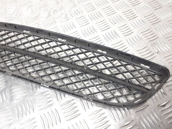 BMW 3 E90 E91 Front bumper lower grill 7134074