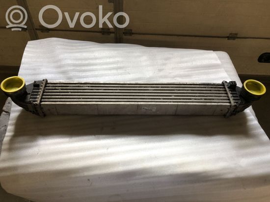 Mercedes-Benz B W245 Intercooler radiator A1695000900 A1695000900 W4300001